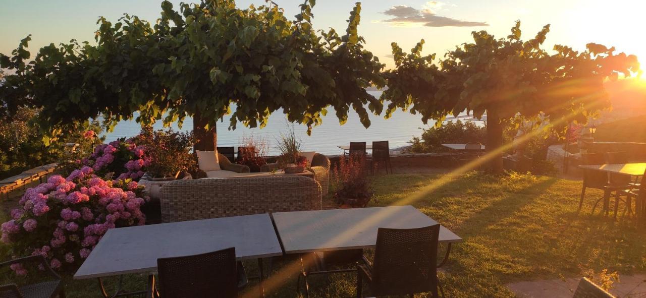 Olivenere Agriturismo 라바냐 외부 사진