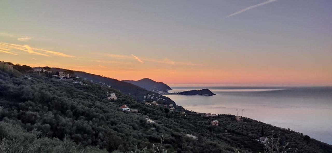 Olivenere Agriturismo 라바냐 외부 사진