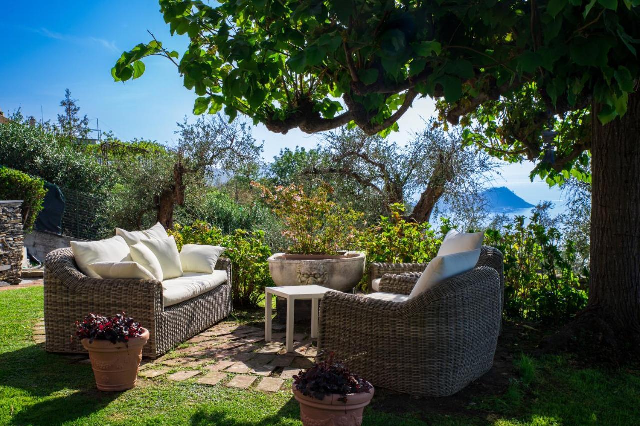 Olivenere Agriturismo 라바냐 외부 사진