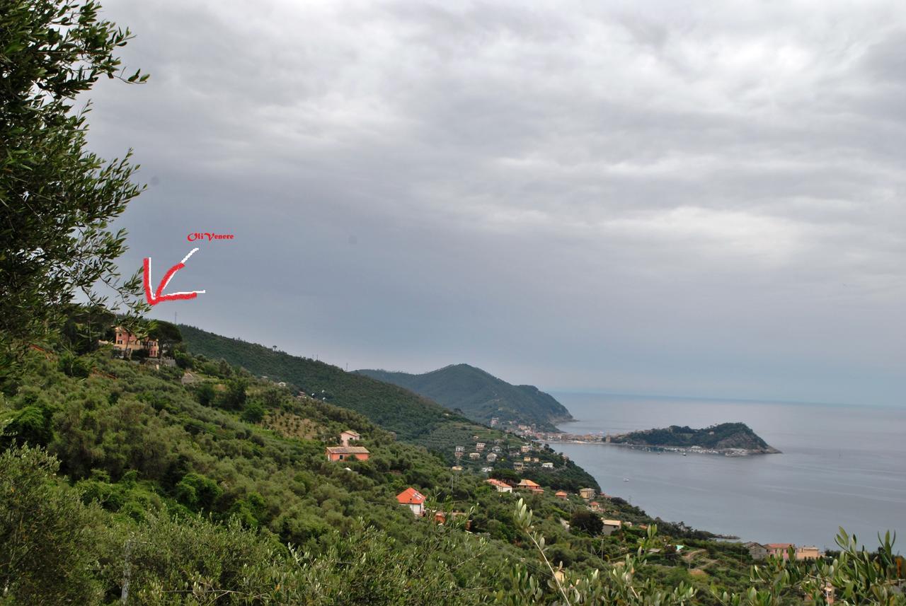 Olivenere Agriturismo 라바냐 외부 사진