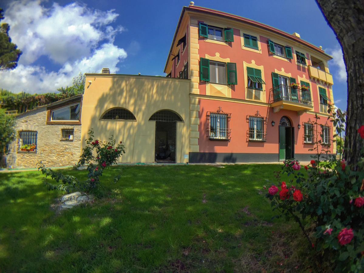 Olivenere Agriturismo 라바냐 외부 사진